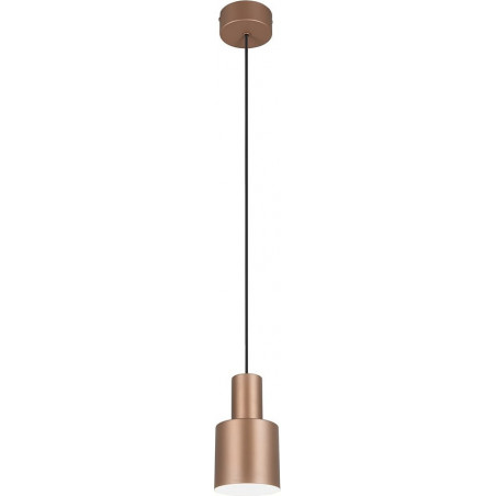 Lampa wisząca Trio Agudo | Brązowa, E27 - Kup online