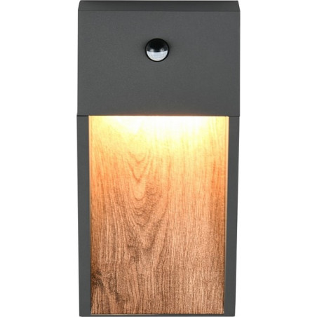 Kinkiet zewnętrzny LED Trio Salmon | Czujnik ruchu, antracyt