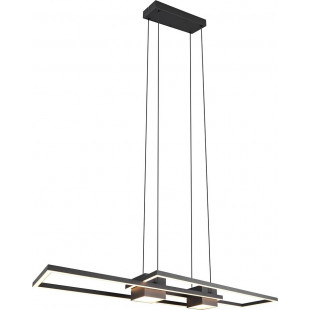 Lampa wisząca LED Albany | Trio - Nowoczesny design z pilotem