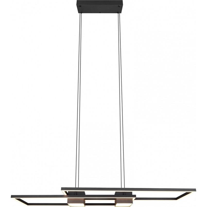Lampa wisząca LED Albany | Trio - Nowoczesny design z pilotem
