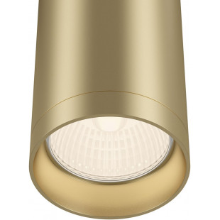Lampa tuba spot Focus Maytoni - matowe złoto | Sklep z oświetleniem