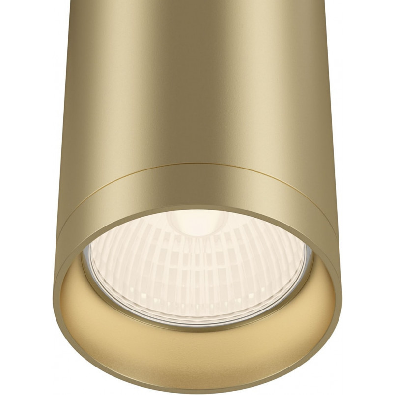 Lampa tuba spot Focus Maytoni - matowe złoto | Sklep z oświetleniem