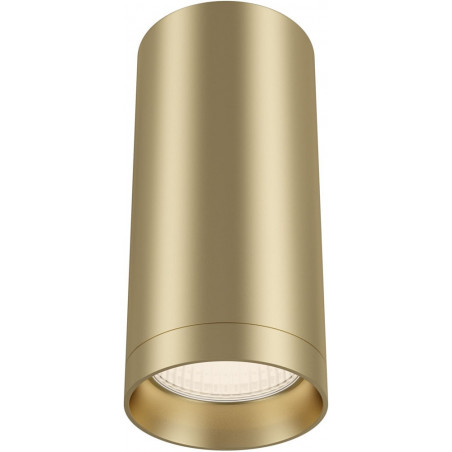 Lampa tuba spot Focus Maytoni - matowe złoto | Sklep z oświetleniem