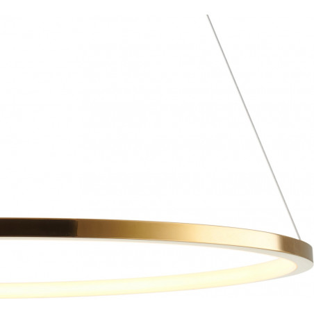 Lampa wisząca Circle Slim LED 60cm złota | Step