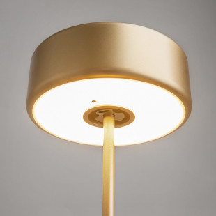 Lampa stołowa LED Maytoni AI Collaboration - Złota, Przenośna