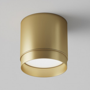 Lampa spot tuba Polar Maytoni - Matowe złoto | Sklep z oświetleniem