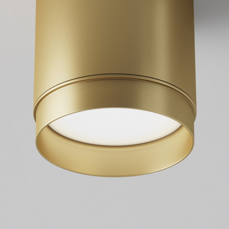 Lampa spot tuba Polar Maytoni - Matowe złoto | Sklep z oświetleniem