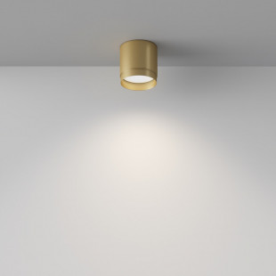 Lampa spot tuba Polar Maytoni - Matowe złoto | Sklep z oświetleniem