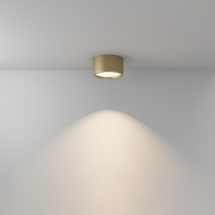 Lampa LED do łazienki Hydra Maytoni | Złota, IP44
