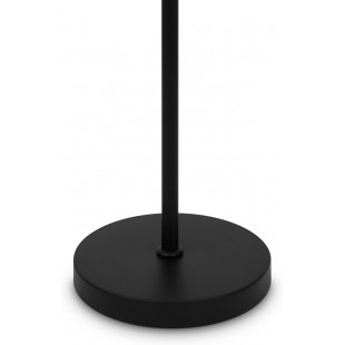 Lampa podłogowa kula szklana Ring | Maytoni - Elegancki design