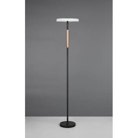 Lampa podłogowa Celeste LED Trio | Nowoczesny design, ściemniacz