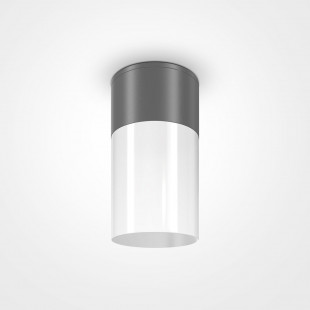 Lampa zewnętrzna Willis Maytoni | Spot ogrodowy 8cm - Sklep
