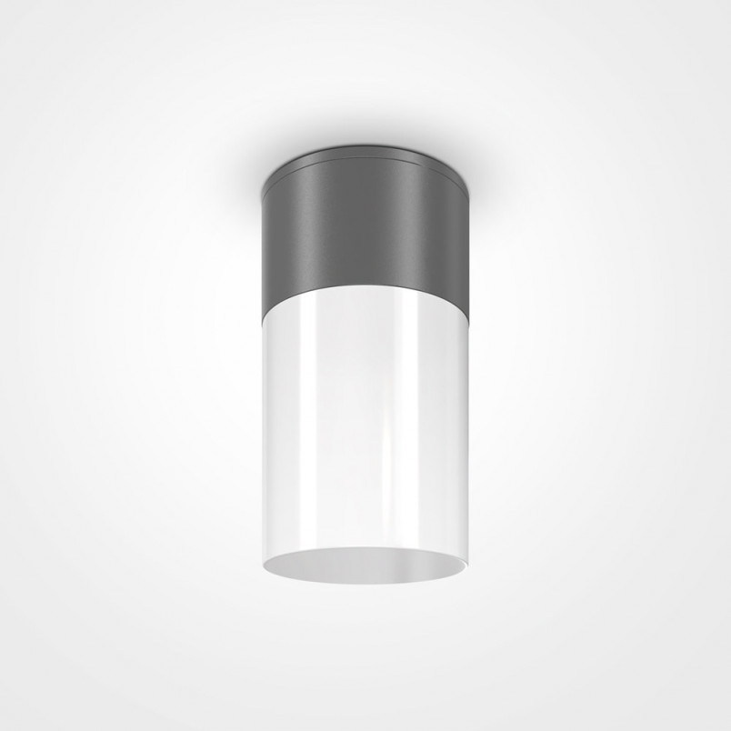 Lampa zewnętrzna Willis Maytoni | Spot ogrodowy 8cm - Sklep