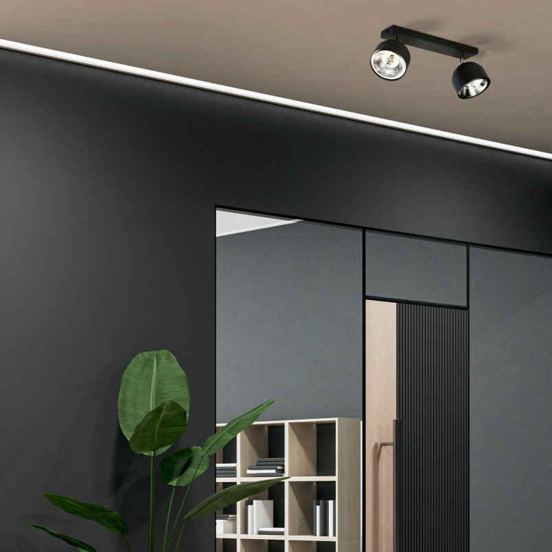 Reflektor sufitowy 2 punktowy Altea | TK Lighting - Nowoczesne oświetlenie