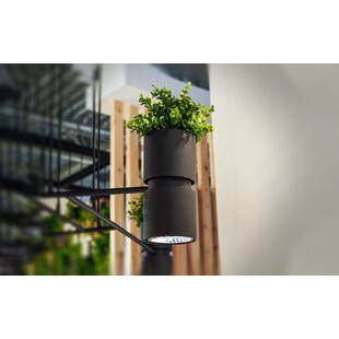 Lampa Wisząca Loft Kukkia Czarna | Thoro - 142cm
