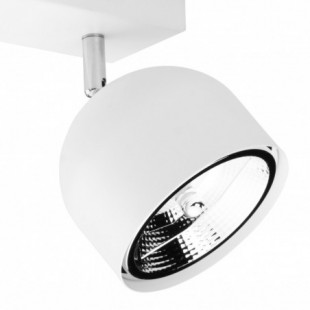 Reflektor sufitowy 2 punktowy Altea | TK Lighting - Oświetlenie
