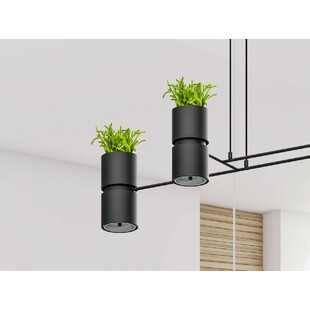 Lampa Wisząca Loft Kukkia Czarna | Thoro - 142cm