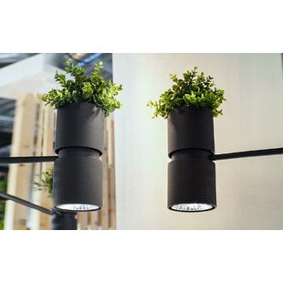 Lampa Wisząca Loft Kukkia Czarna | Thoro - 142cm