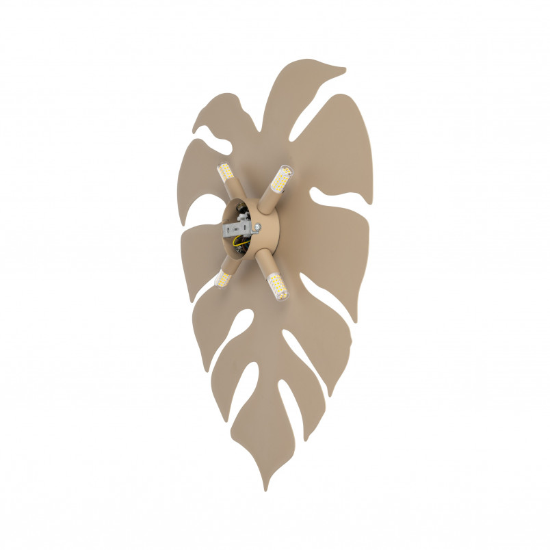 Kinkiet Monstera Sabia | TK Lighting - Elegancki Design