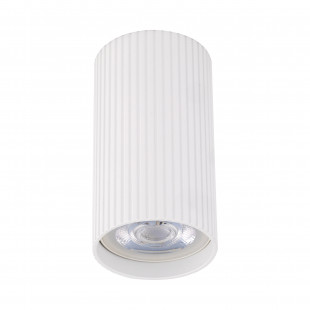 Lampa spot tuba biała TK Lighting | Downlight GU10 - Kup teraz!