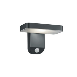 Kinkiet ogrodowy solarny z czujnikiem ruchu Esquel Led Antracyt marki Trio