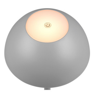 Lampa zewnętrzna Ricardo LED - szara - Reality | Ogród