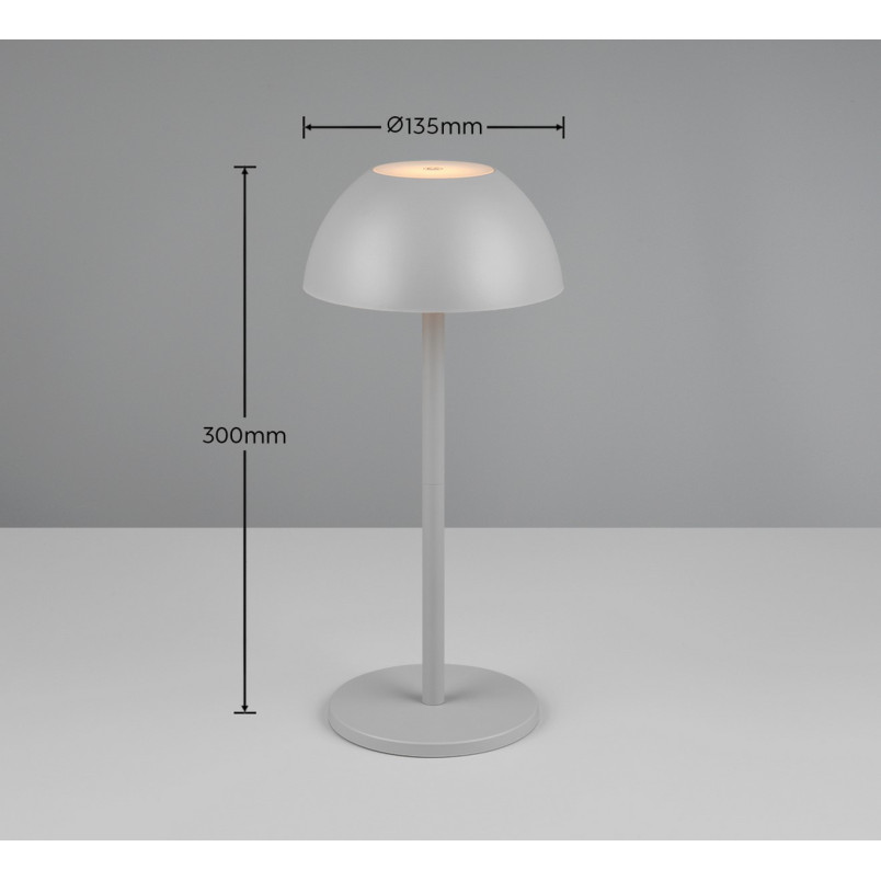 Lampa zewnętrzna Ricardo LED - szara - Reality | Ogród