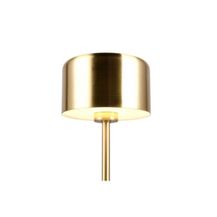 Lampa stołowa minimalistyczna z usb Jeff LED mosiądz matowy Reality