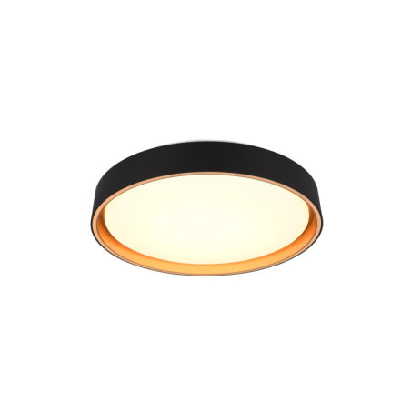 Plafon LED Reality Felis 40cm - Pilot, Ściemniacz | Kup Teraz