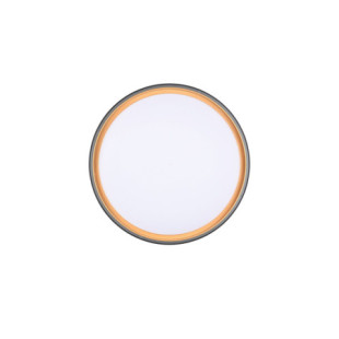 Plafon LED Reality Felis 40cm - Pilot, Ściemniacz | Kup Teraz