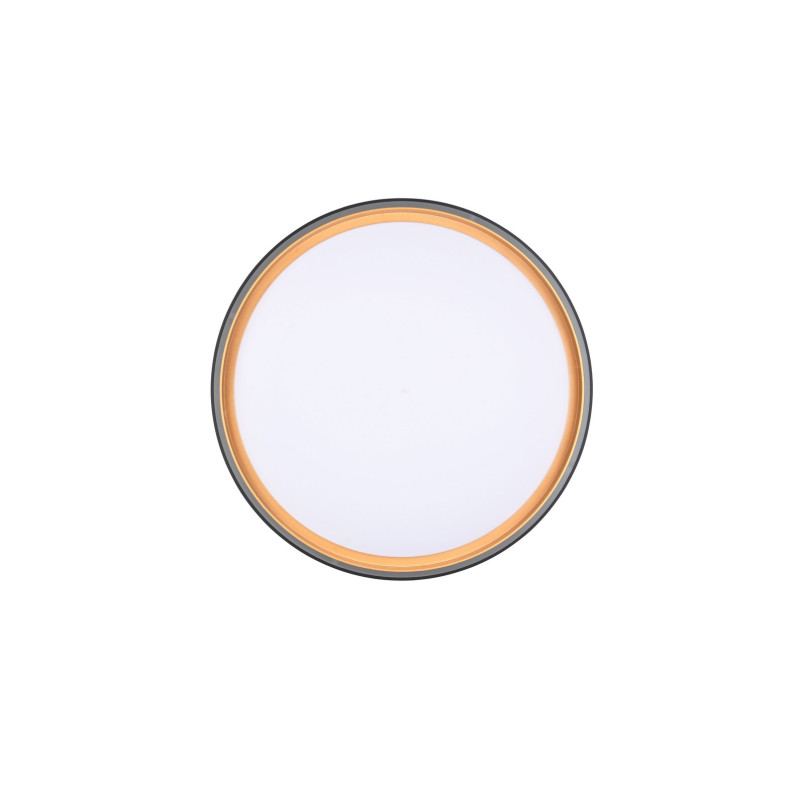 Plafon LED Reality Felis 40cm - Pilot, Ściemniacz | Kup Teraz