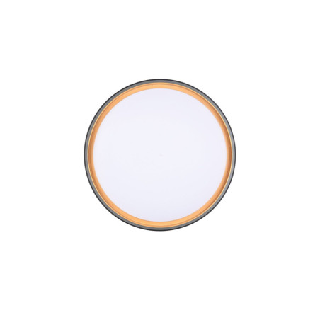 Plafon LED Reality Felis 40cm - Pilot, Ściemniacz | Kup Teraz