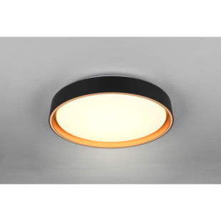 Plafon LED Reality Felis 40cm - Pilot, Ściemniacz | Kup Teraz