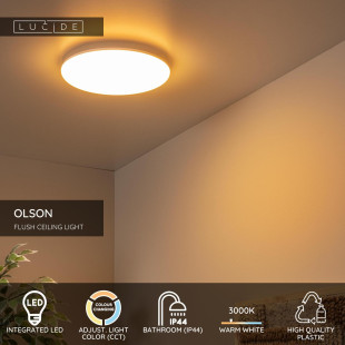 Plafon LED Lucide Olson | Oświetlenie Łazienkowe 29cm
