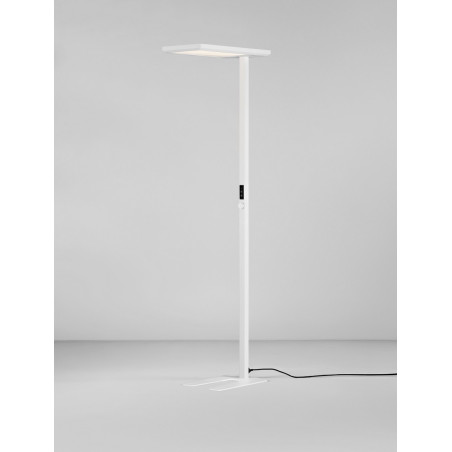 Lampa podłogowa LED Ligobit - nowoczesny design | Decolab24