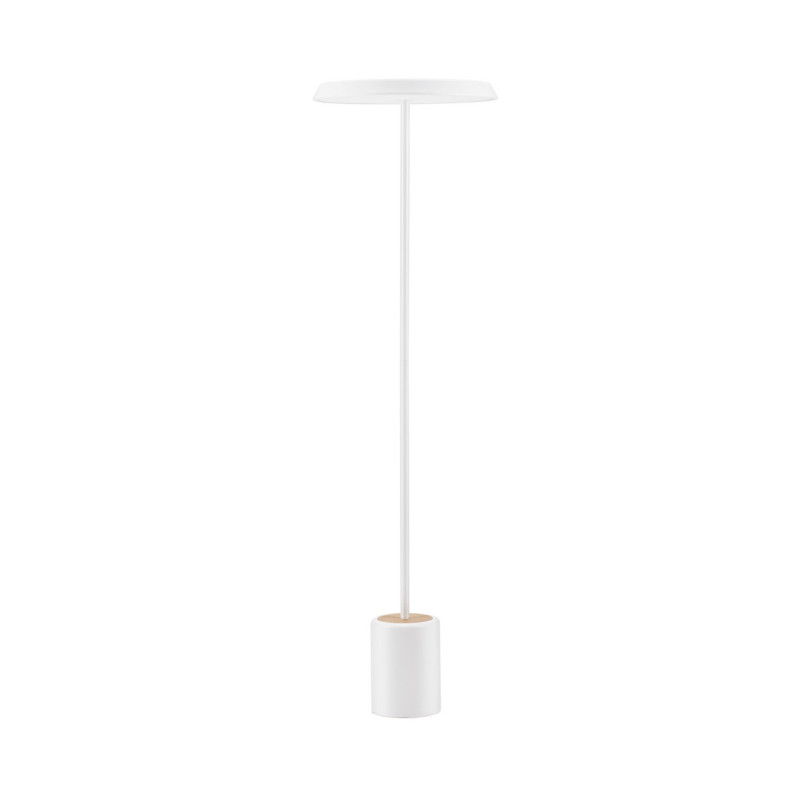 Lampa podłogowa LED Holia - nowoczesny design | Decolab24