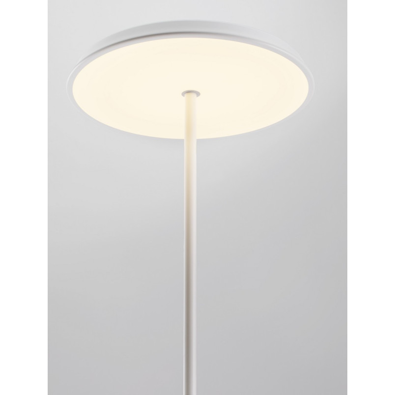 Lampa podłogowa LED Holia - nowoczesny design | Decolab24