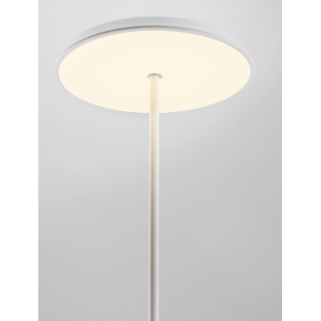 Lampa podłogowa LED Holia - nowoczesny design | Decolab24