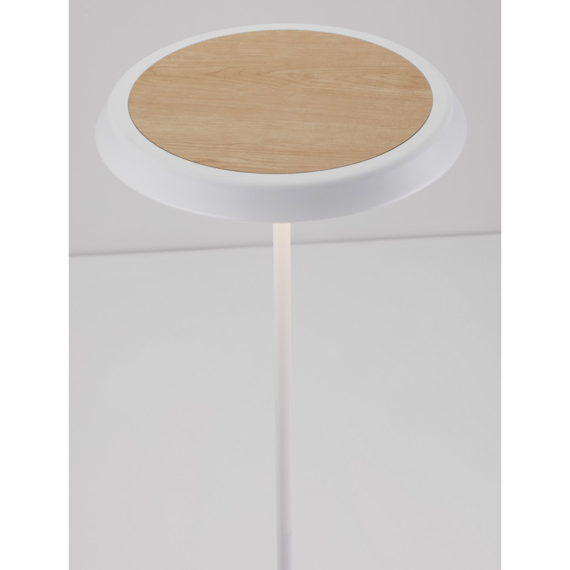 Lampa podłogowa LED Holia - nowoczesny design | Decolab24