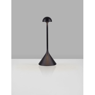 Lampa zewnętrzna LED Daltap - Przenośna, USB, 3000K | Decolab24