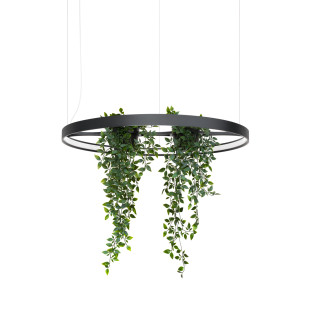 Lampa wisząca Rio Bio czarna LED Thoro - Nowoczesny design