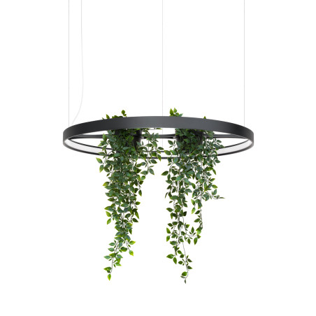 Lampa wisząca Rio Bio czarna LED Thoro - Nowoczesny design