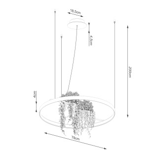 Lampa wisząca Rio Bio czarna LED Thoro - Nowoczesny design