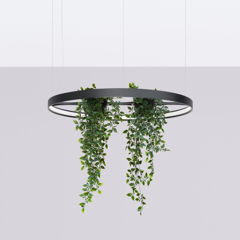 Lampa Wisząca Rio Bio Czarna LED Thoro | Nowoczesny Design