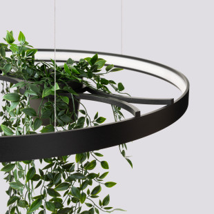 Lampa Wisząca Rio Bio Czarna LED Thoro | Nowoczesny Design