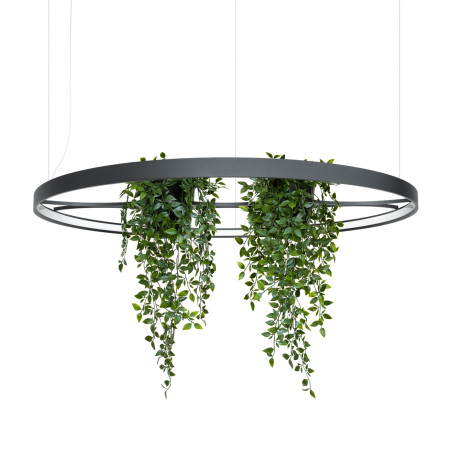Lampa wisząca Rio Bio czarna LED Thoro - Nowoczesny design
