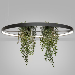Lampa Wisząca Rio Bio Czarna LED Thoro | Nowoczesny Design