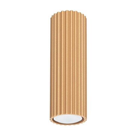 Lampa spot Karbon Sollux - Złota tuba, nowoczesny design