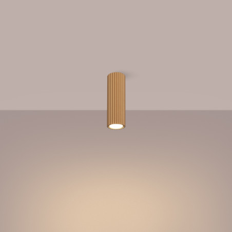 Lampa spot Karbon Sollux - Złota tuba, nowoczesny design