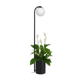 Lampa stojąca Kaspa Botanica: Szklana kula, doniczka, 147cm - Skandynawski desig